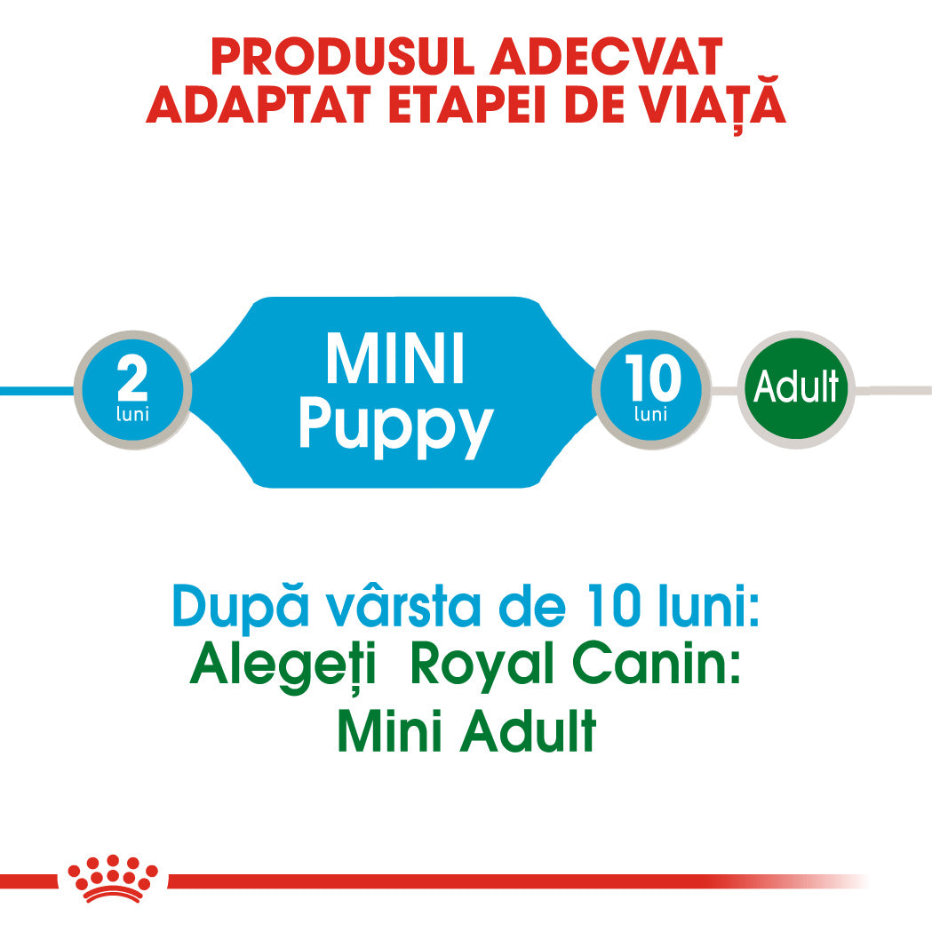 RC-SHN-Wet-MiniPuppy-CV-Eretailkit-1﻿-ro_RO