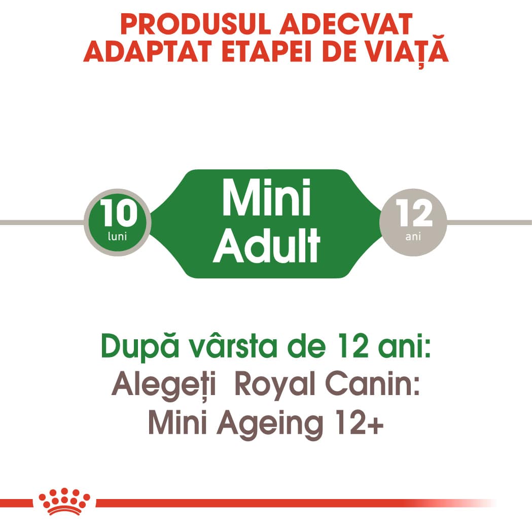 RC-SHN-Wet-MiniAdult-CV-Eretailkit-1﻿-ro_RO-min