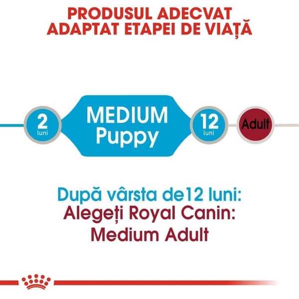 Webp.net-resizeimage (4)