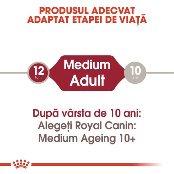 Webp.net-resizeimage (7) (1)