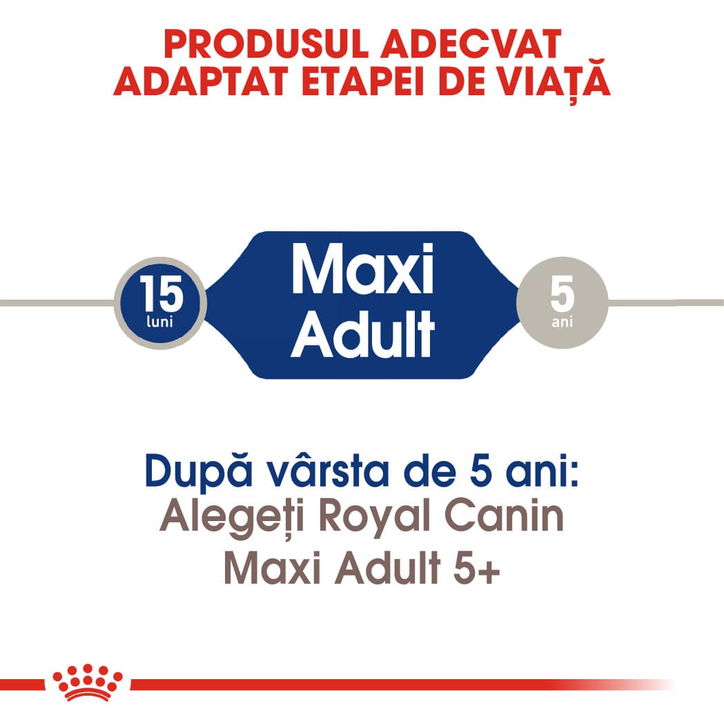 RC-SHN-AdultMaxi-CV-EretailKit-1﻿-ro_RO-min