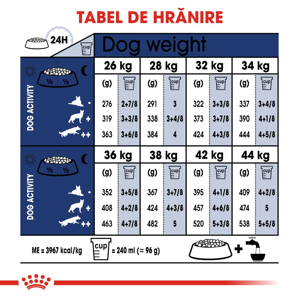 RC-SHN-AdultMaxi-CV-EretailKit-4﻿-ro_RO-min