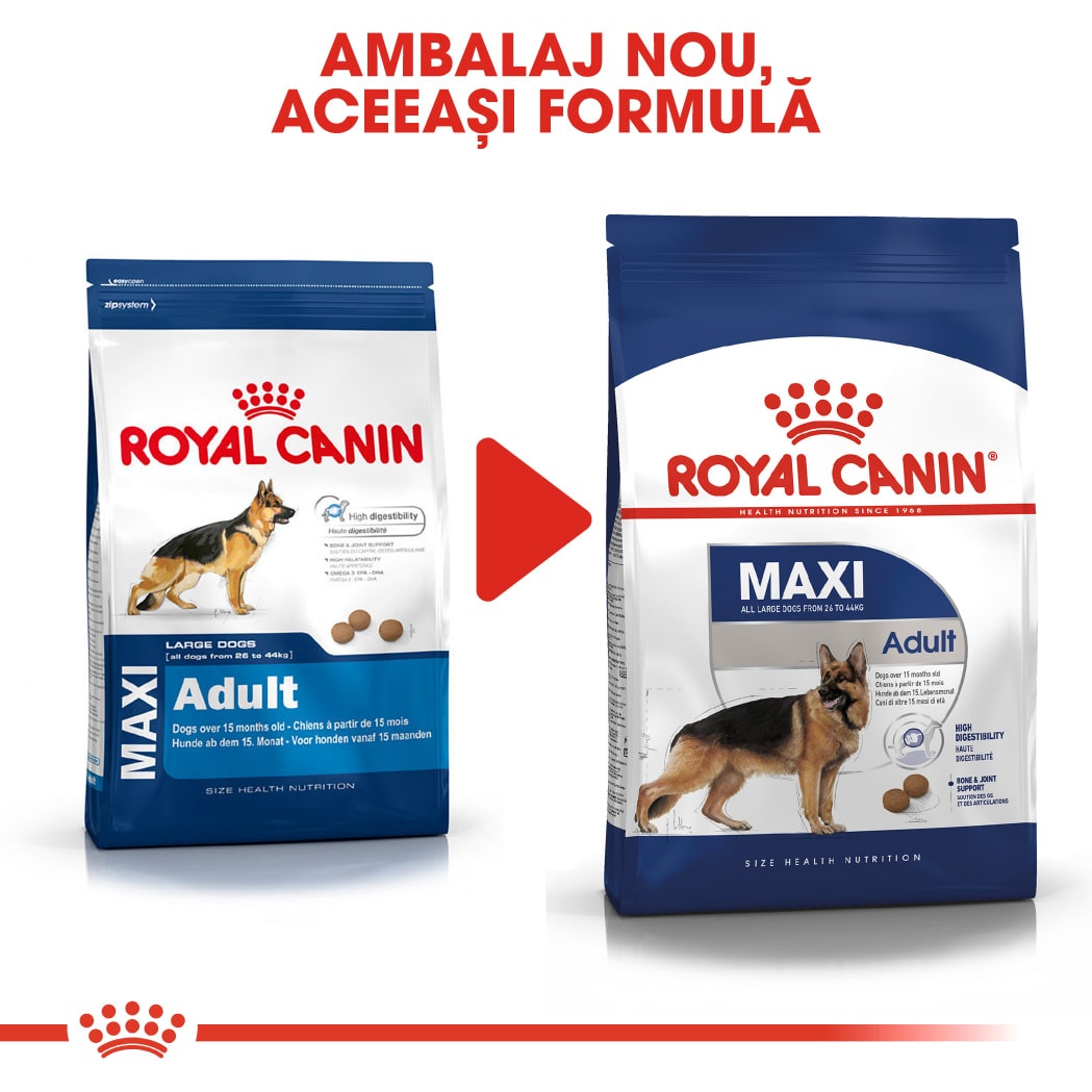 RC-SHN-AdultMaxi-CV-EretailKit-6﻿-ro_RO-min
