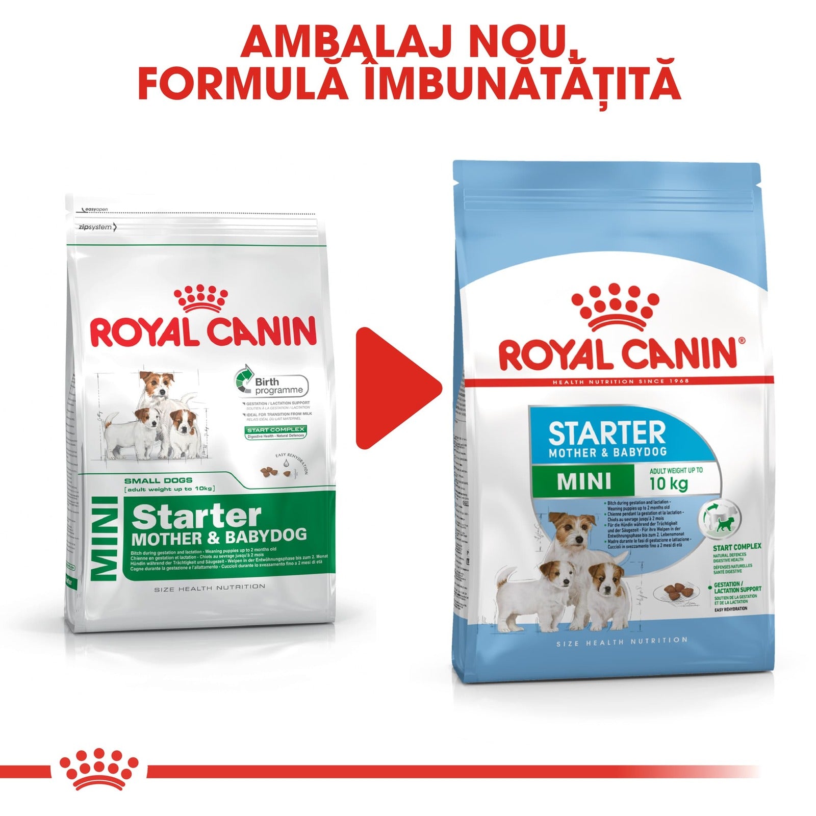 RC-SHN-Puppy-Mini Starter Mother and Babydog-CV8_008_ROMANIA-ROMANIAN-min
