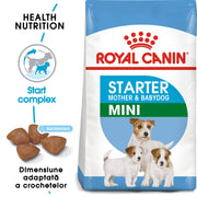 RC-SHN-Puppy-Mini Starter Mother and Babydog-SHN PUPPY_003_ROMANIA-ROMANIAN-min