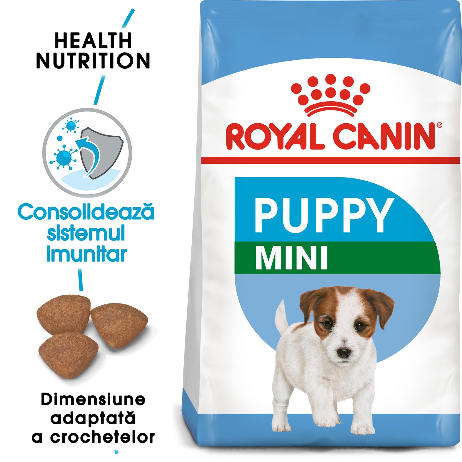 RC-SHN-Puppy-Mini-SHN PUPPY_000_ROMANIA-ROMANIAN