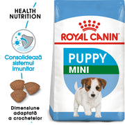 RC-SHN-Puppy-Mini-SHN PUPPY_000_ROMANIA-ROMANIAN