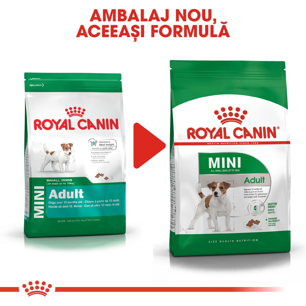 RC-SHN-AdultMini-CV-EretailKit-6﻿-ro_RO-min