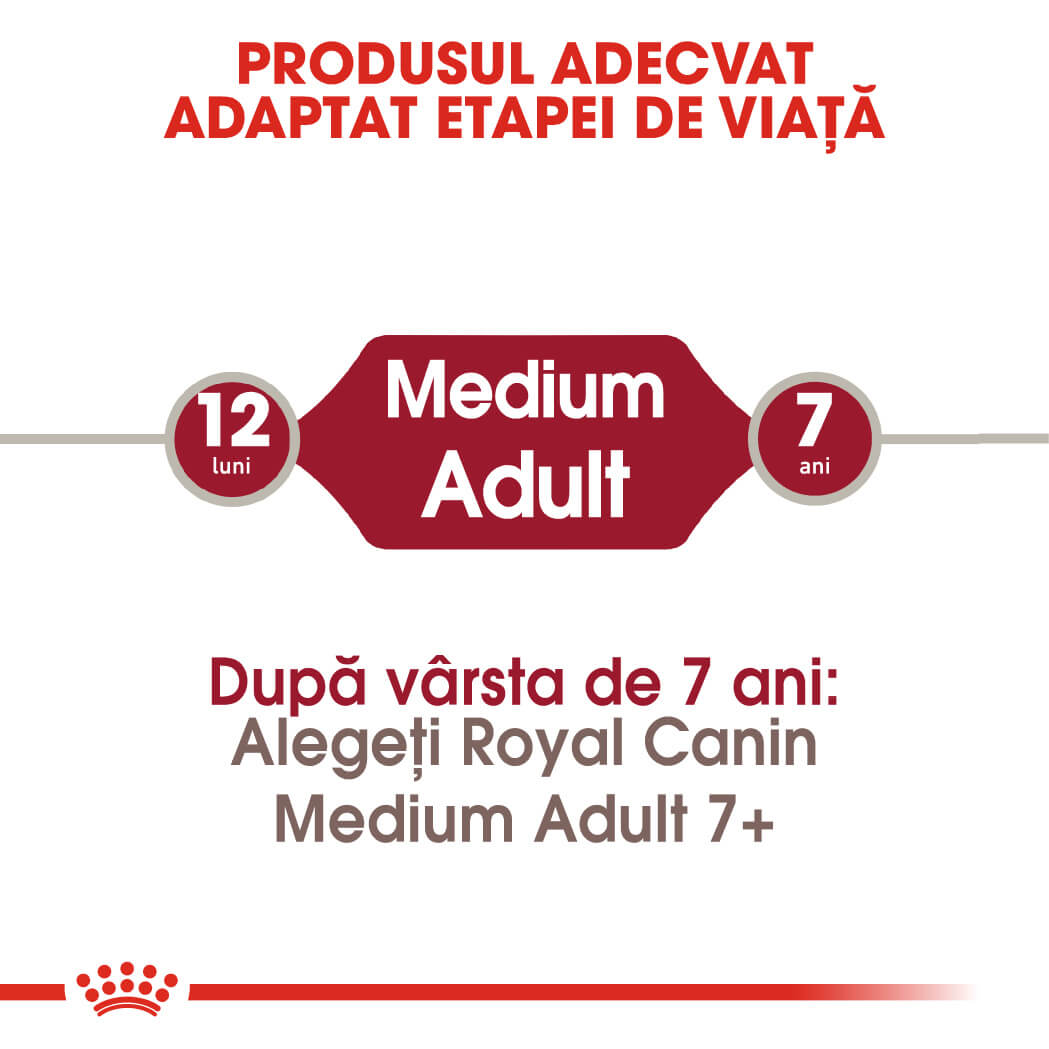 RC-SHN-AdultMediumPoultry-CV-EretailKit-1﻿-ro_RO