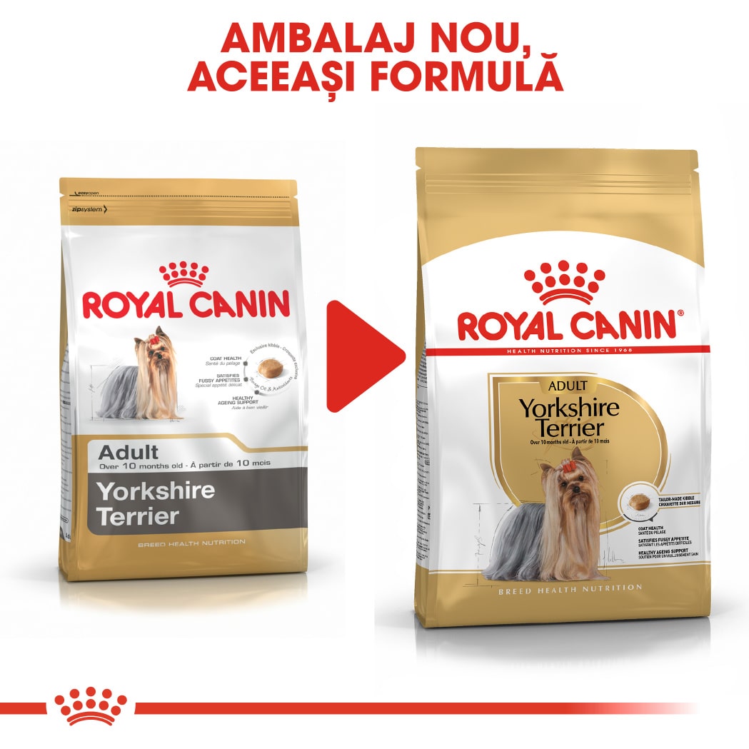 RC-BHN-Yorkshire-CV-Eretailkit-4﻿-ro_RO-min