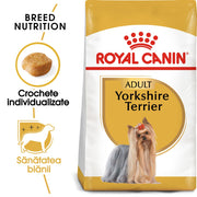 RC-BHN-Yorkshire-MV-Eretailkit﻿-ro_RO-min