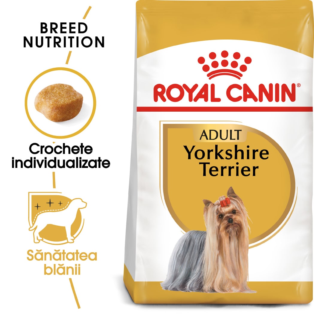 RC-BHN-Yorkshire-MV-Eretailkit﻿-ro_RO-min