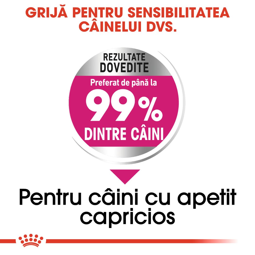 RC-CCN-ExigentMini-CV-Eretailkit-3﻿-ro_RO-min