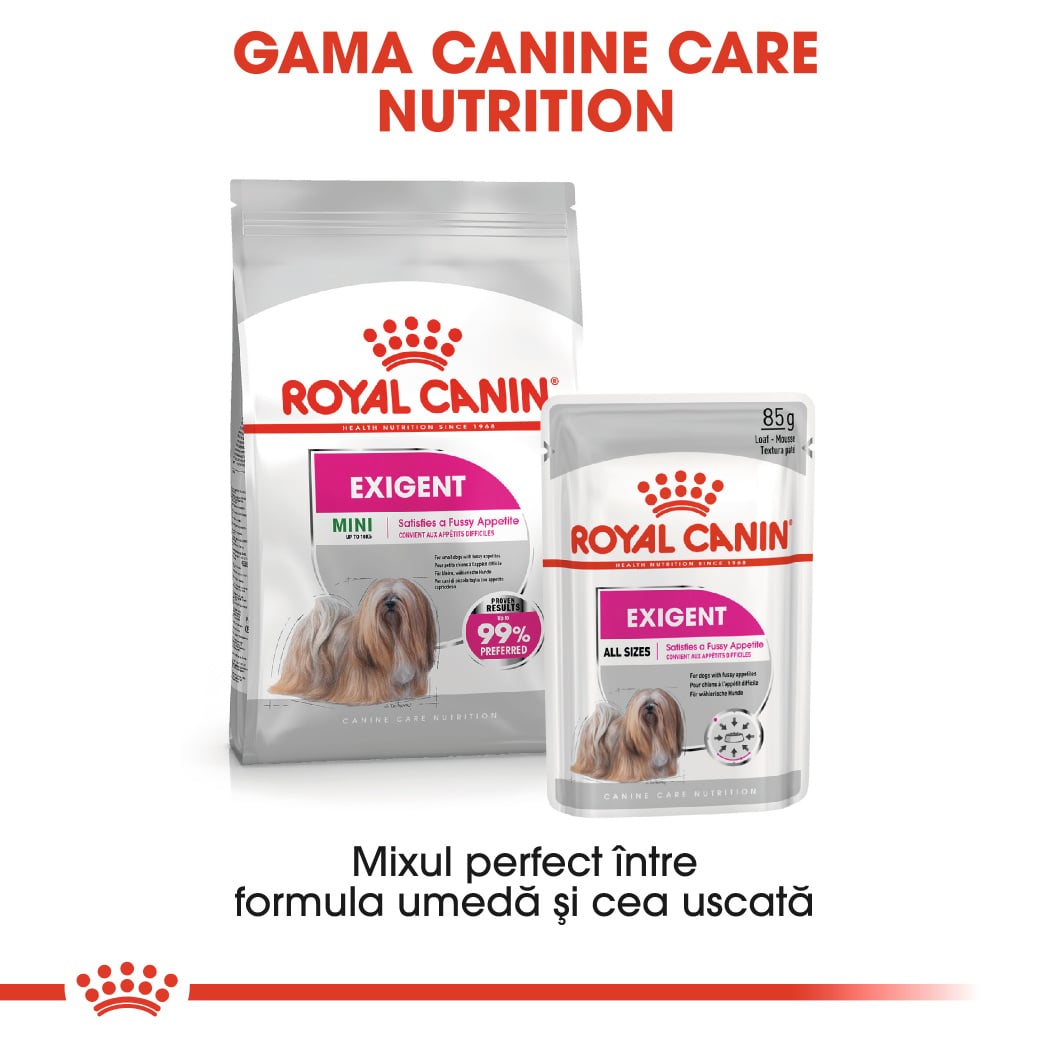 RC-CCN-ExigentMini-CV-Eretailkit-6﻿-ro_RO-min