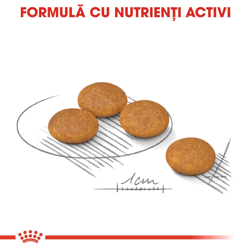 RC-CCN-DermaMini-CV-Eretailkit-5﻿-ro_RO-min
