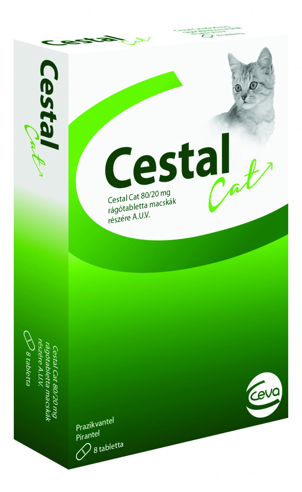 cestal pisica