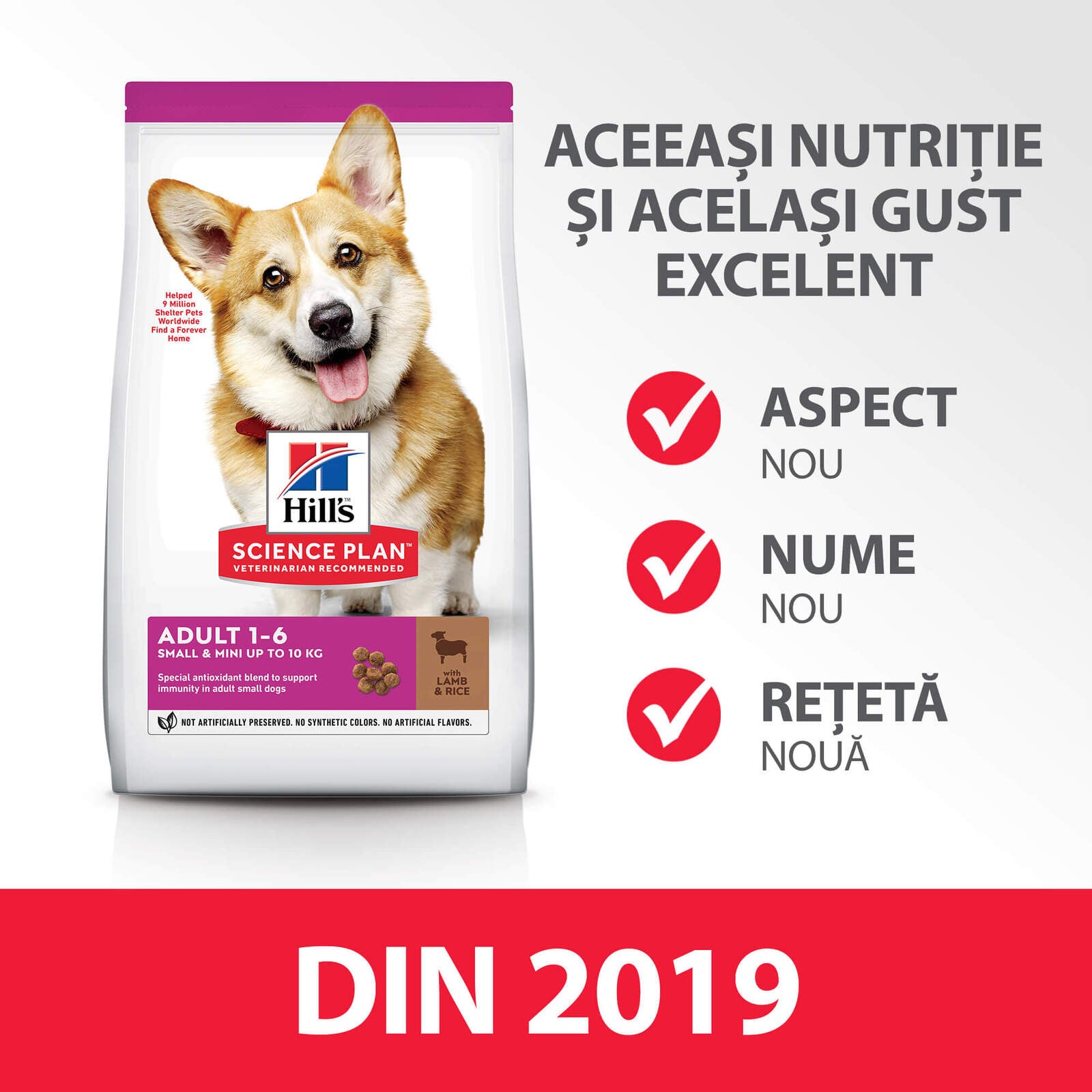 DOG_Adult_S&M_Lamb_PT-Summary of Changes-Pre-Transition_RO