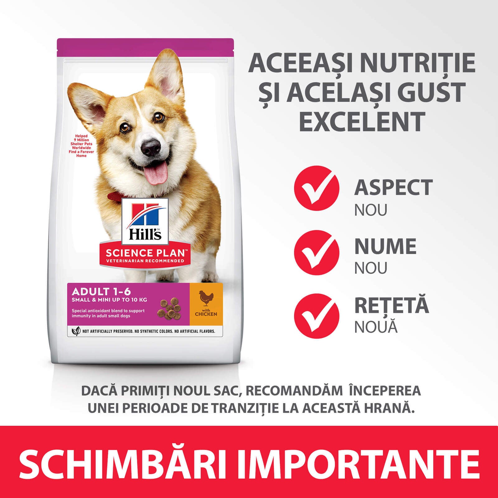 DOG_Adult_S&M_Chicken_Transition-Summary of Changes_RO