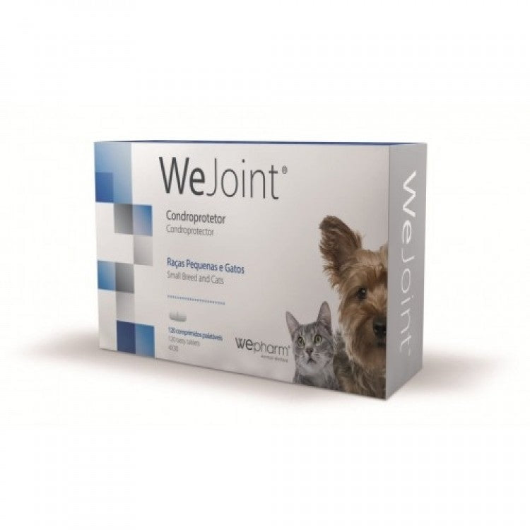 wejoint_sb-500×500