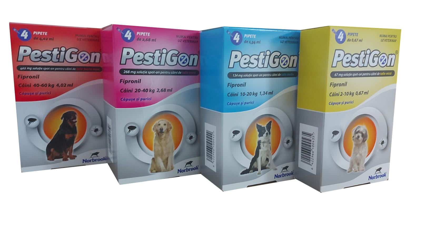 pestigon