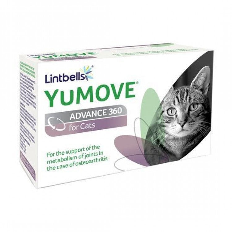 youmove advance