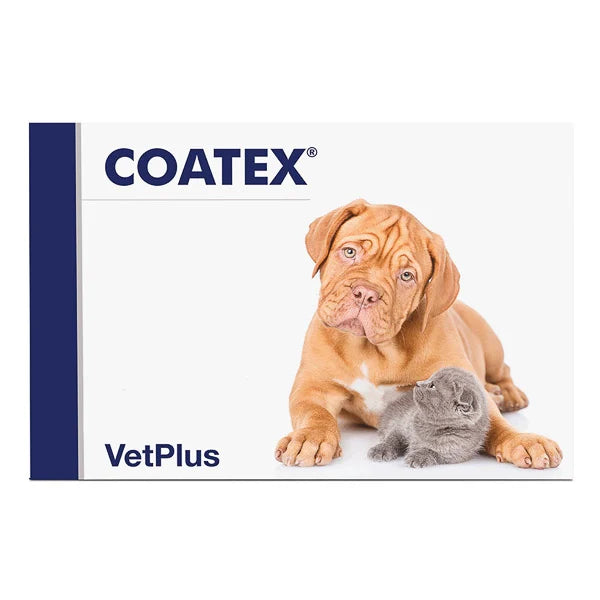 coatex-60-capsule-180453