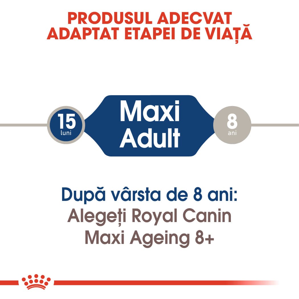 RC-SHN-Wet-MaxiAdult-CV-Eretailkit-1﻿-ro_RO-min