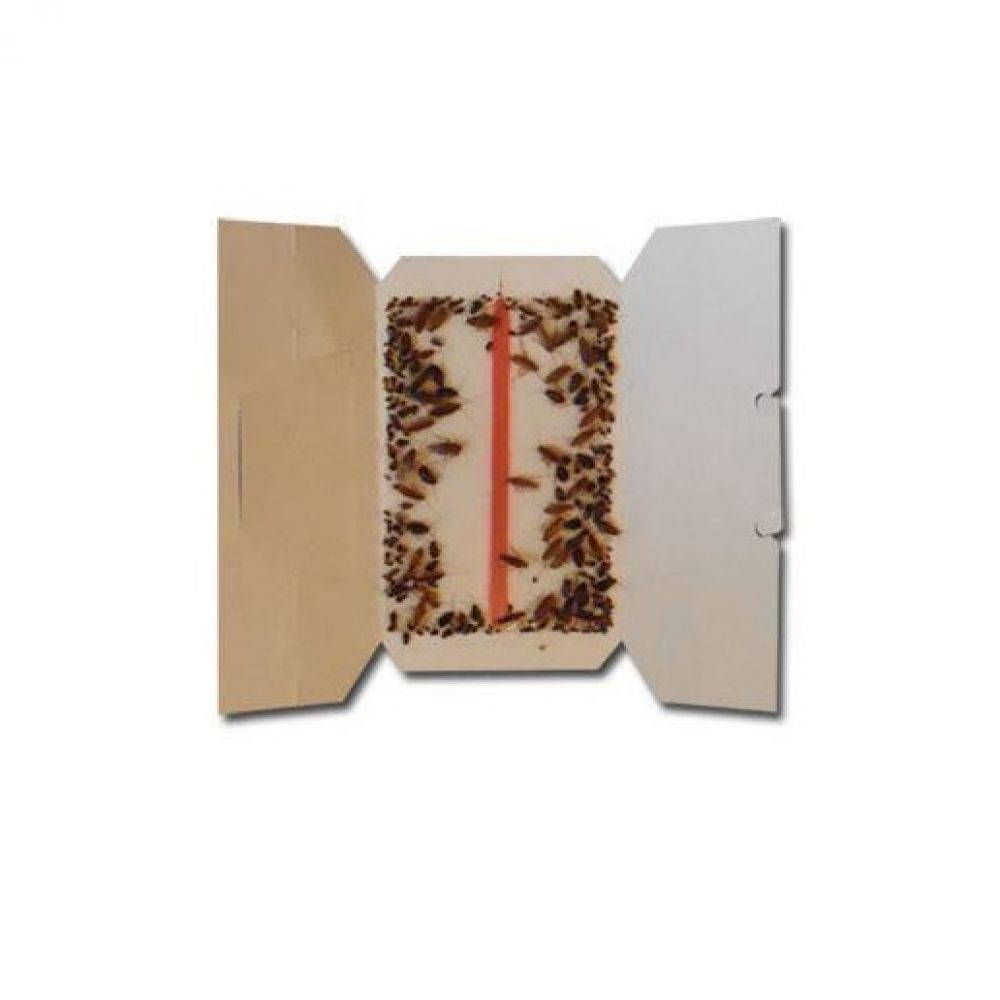 Capcană Adezivă Geotrap pentru Gândaci, cu Atractant Gel, 200 x 100 mm, Carton