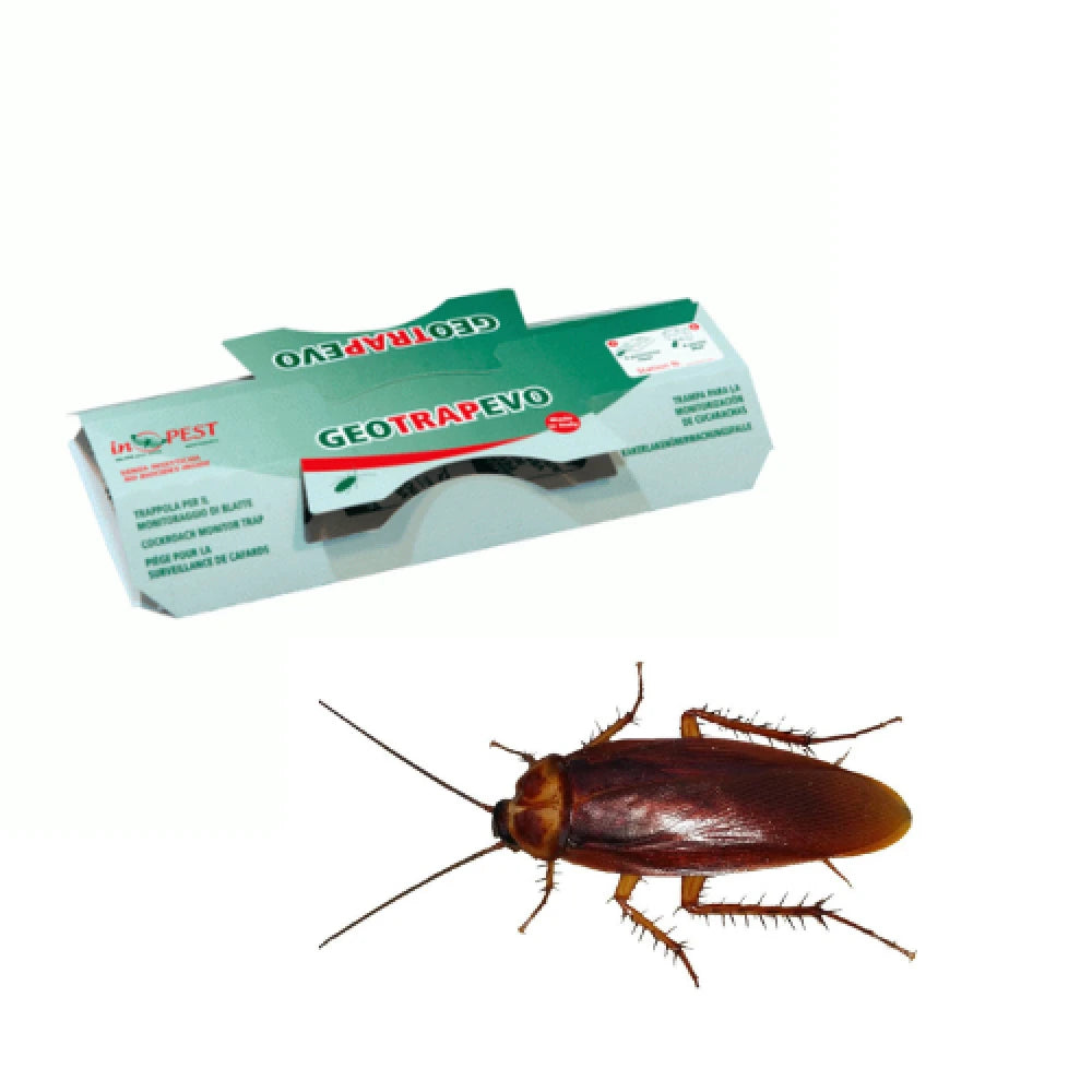 Capcană Adezivă Geotrap pentru Gândaci, cu Atractant Gel, 200 x 100 mm, Carton