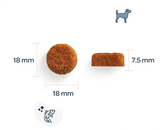 Hrană uscată pentru câini adulți de talie mare Marly & Dan 12 kg – Somon proaspăt și ton, formulă holistică fără cereale