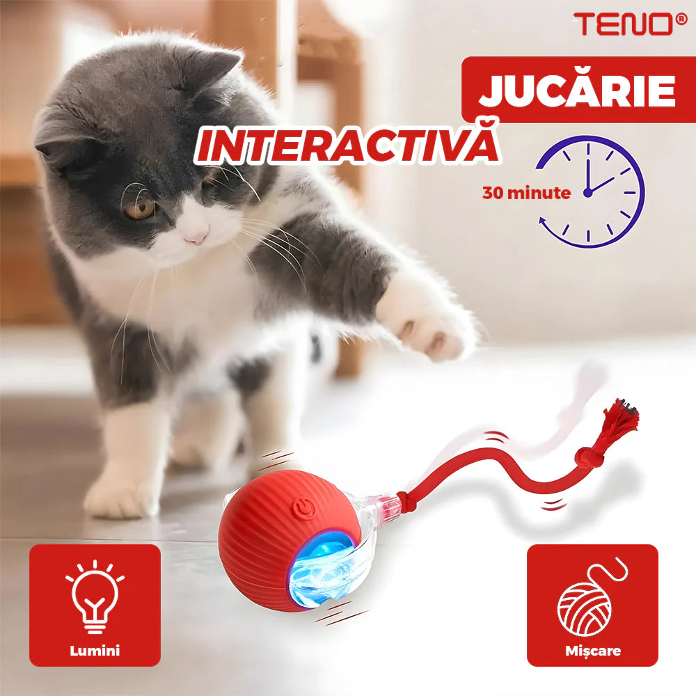 Jucărie interactivă inteligentă pentru pisici cu senzor de mișcare, ricoseu automat și încărcare USB rapidă