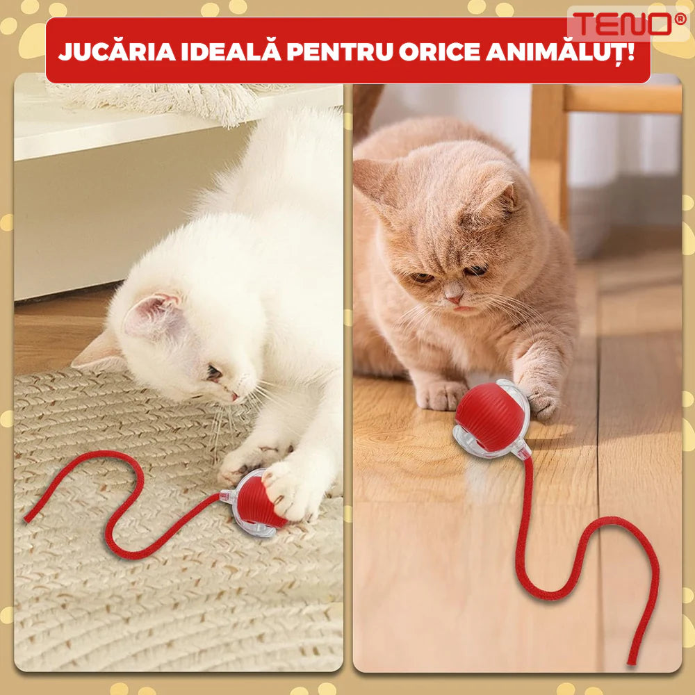 Jucărie interactivă inteligentă pentru pisici cu senzor de mișcare, ricoseu automat și încărcare USB rapidă