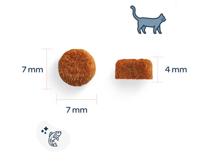 Marly & Dan Hrană Uscată pentru Pisici Kitten cu Somon, Fără Cereale, 1,5 kg – Hrană Holistică Ultrapremium pentru Pisoi în Creștere
