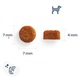 Marly & Dan Junior Small Breed 1,5 kg – Hrană uscată fără cereale pentru câini juniori de talie mică, cu somon
