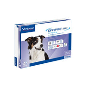 Pipete Antiparazitare Câini Talie Medie Effipro Duo M (10-20 kg) - 4 pipete
