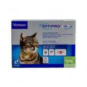 Pipete Antiparazitare Pisici Effipro Duo (1-6 kg) - 4 pipete