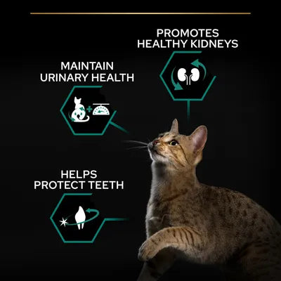 Pro Plan Cat Sterilised Somon 1,5 kg – Hrană Uscată pentru Pisici Sterilizate