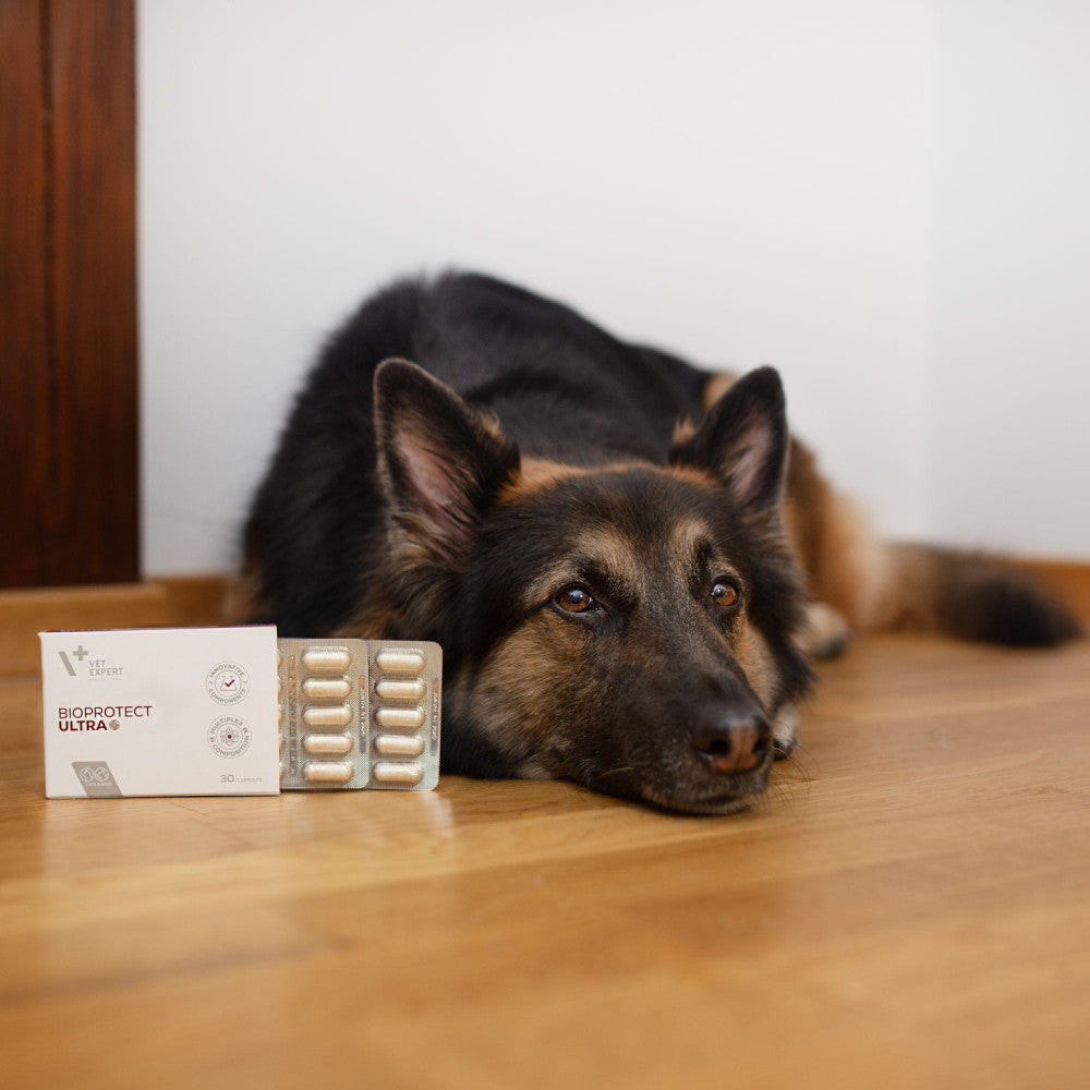Probiotic Câini și Pisici BioProtect Ultra VetExpert 30 Capsule