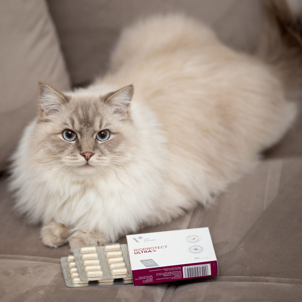Probiotic Câini și Pisici BioProtect Ultra VetExpert 30 Capsule