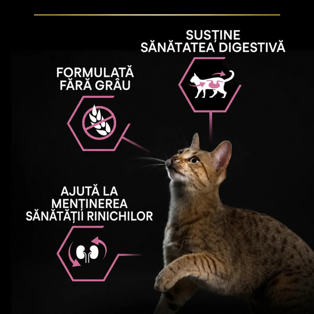 Purina Pro Plan Delicate Digestion Adult 1+ Curcan, 10 kg