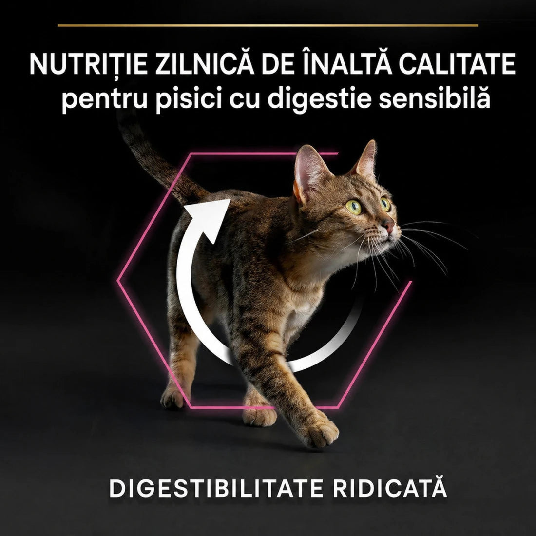 Purina Pro Plan Delicate Digestion Adult 1+ Curcan, 10 kg