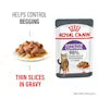 Royal Canin Appetite Control Care 12x85g – Hrană umedă pentru pisici adulte