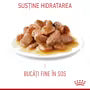 Royal Canin Appetite Control Care 12x85g – Hrană umedă pentru pisici adulte