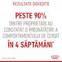 Royal Canin Appetite Control Care 12x85g – Hrană umedă pentru pisici adulte