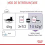 Royal Canin Appetite Control Care 12x85g – Hrană umedă pentru pisici adulte