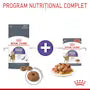Royal Canin Appetite Control Care – Hrană uscată pentru pisici adulte
