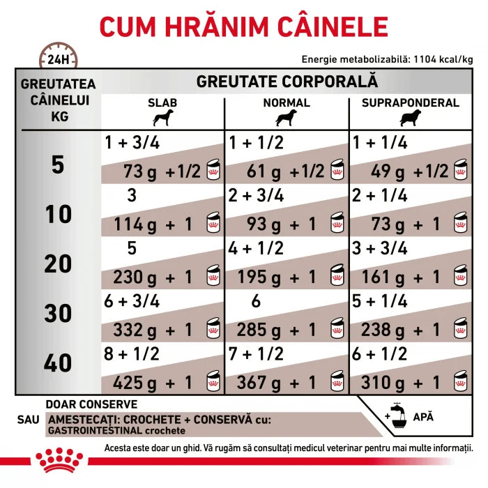 Royal Canin GastroIntestinal Dog 200 g – Hrană dietetică umedă pentru câini