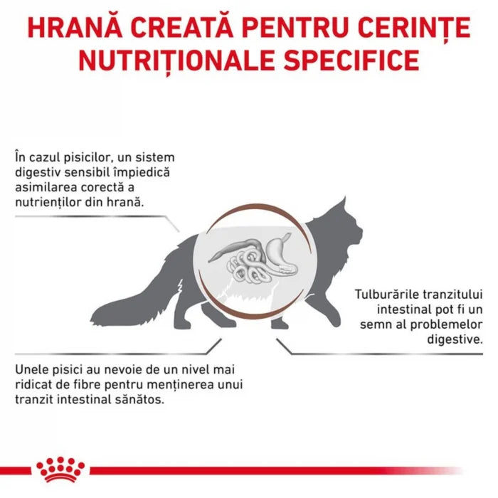 Royal Canin Gastrointestinal Fibre Response Cat 12x85 g – Hrană umedă dietetică pentru pisici