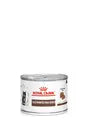 Royal Canin Gastrointestinal Kitten 195 g – Hrană umedă dietetică pentru pisoi