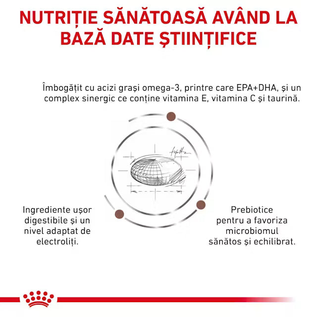Royal Canin Gastrointestinal Low Fat Dog 200 g – Hrană dietetică umedă pentru câini